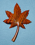 Cocobolo